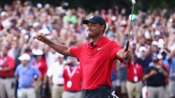 Woods24.jpg
