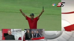tiger.jpg