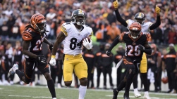 SteelersVO.jpg