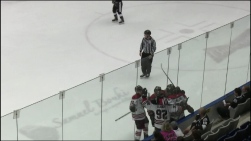 Voltigeurs.jpg