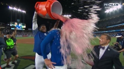 Bellinger2.jpg