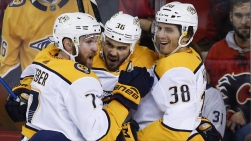 Preds.jpg