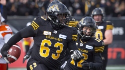 ticats.jpg