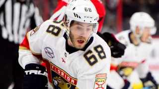 Mike Hoffman