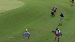 tiger.jpg