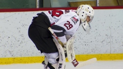 SHINGAROV.jpg
