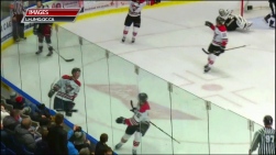 VOLTIGEURS.jpg
