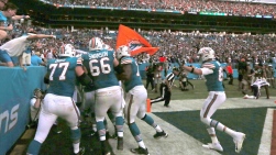 DOLPHINS.jpg