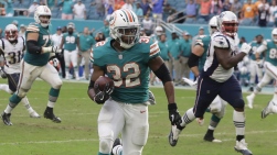 DOLPHINS2.jpg