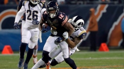 Bears.jpg