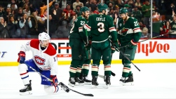 Wild4.jpg