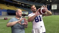 alouettes.jpg