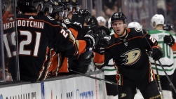 DucksVO.jpg