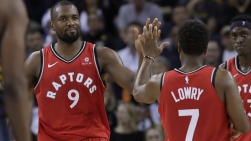 Raptors.jpg