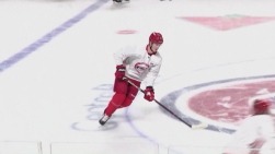 canes.jpg