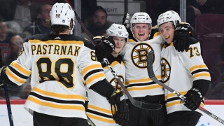 Bruins Bruins