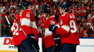 Panthers Panthers