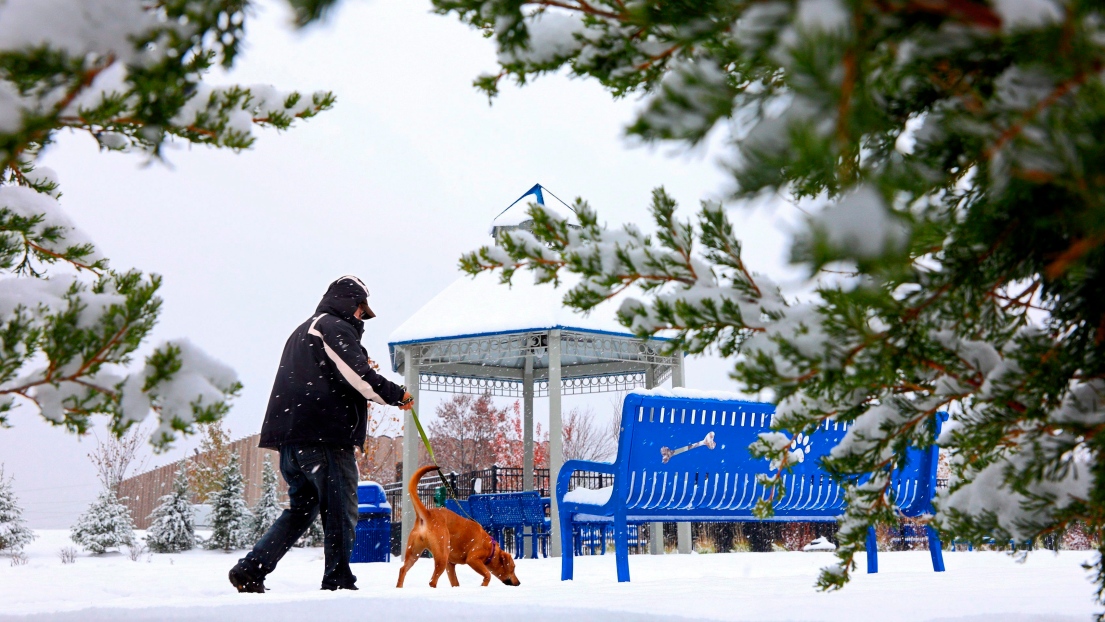 Un homme promène son chien
