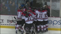 Voltigeurs5.jpg
