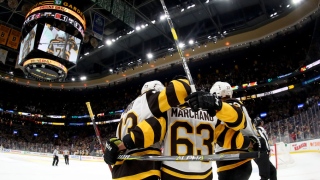Bruins Bruins