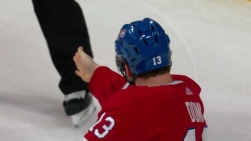 domi.jpg