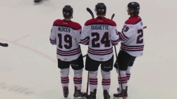 Voltigeurs.jpg