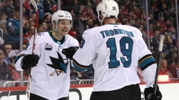 Sharks6.jpg