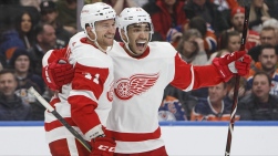 Wings4.jpg