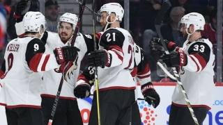 Coyotes Coyotes
