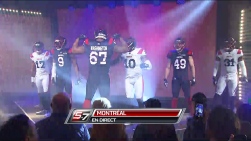 alouettes.jpg
