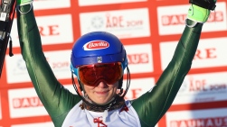 shiffrin.jpg