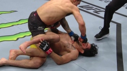 ufc1.jpg