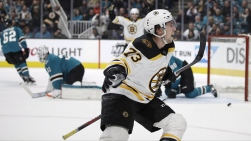 Bruins10.jpg