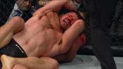 bisping.jpg