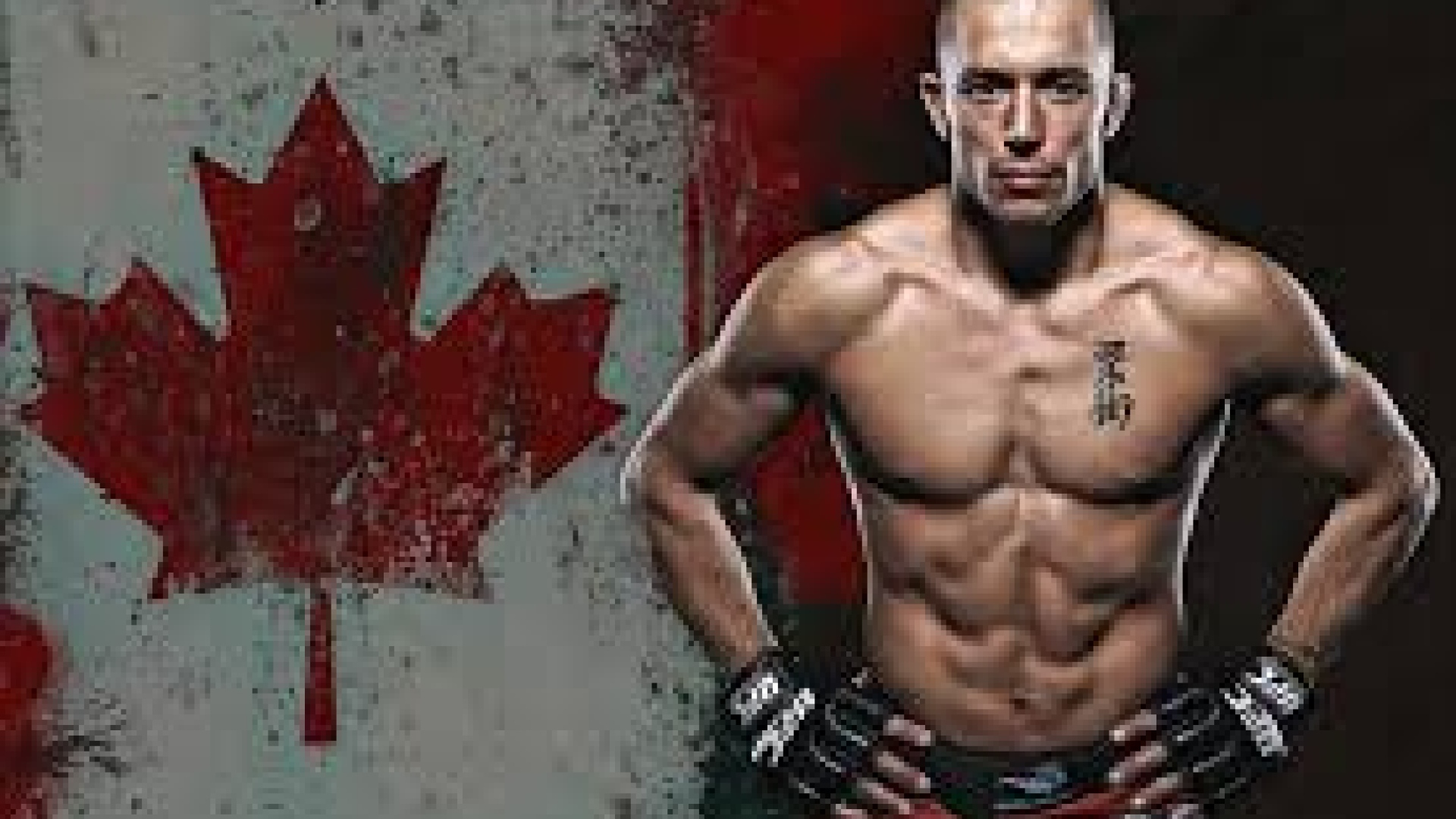 Georges St-Pierre