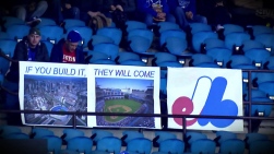 Expos.jpg