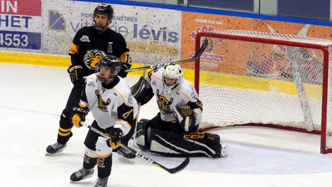 Les Chevaliers de Lévis