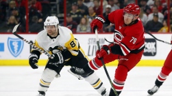 canes2.jpg