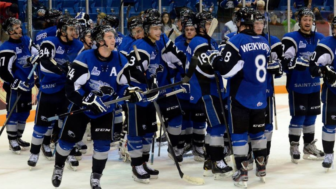 Sea Dogs de Saint John 