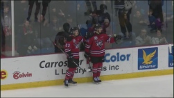 Voltigeurs13.jpg