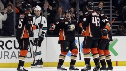Ducks9.jpg