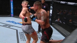 Pettis3.jpg
