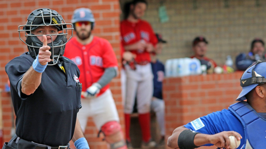 arbitre Baseball Qc