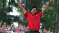 tiger.jpg
