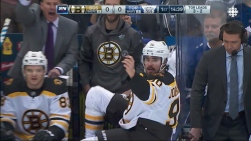 Bruins14.jpg