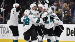 Sharks10.jpg