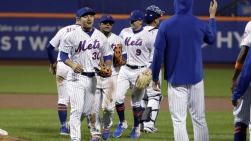 metsVOO.jpg
