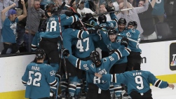 SharksVO.jpg