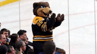 Blades the Bruin Mascotte des Bruins