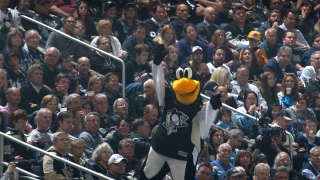 Iceburgh Iceburgh, mascotte des Penguins